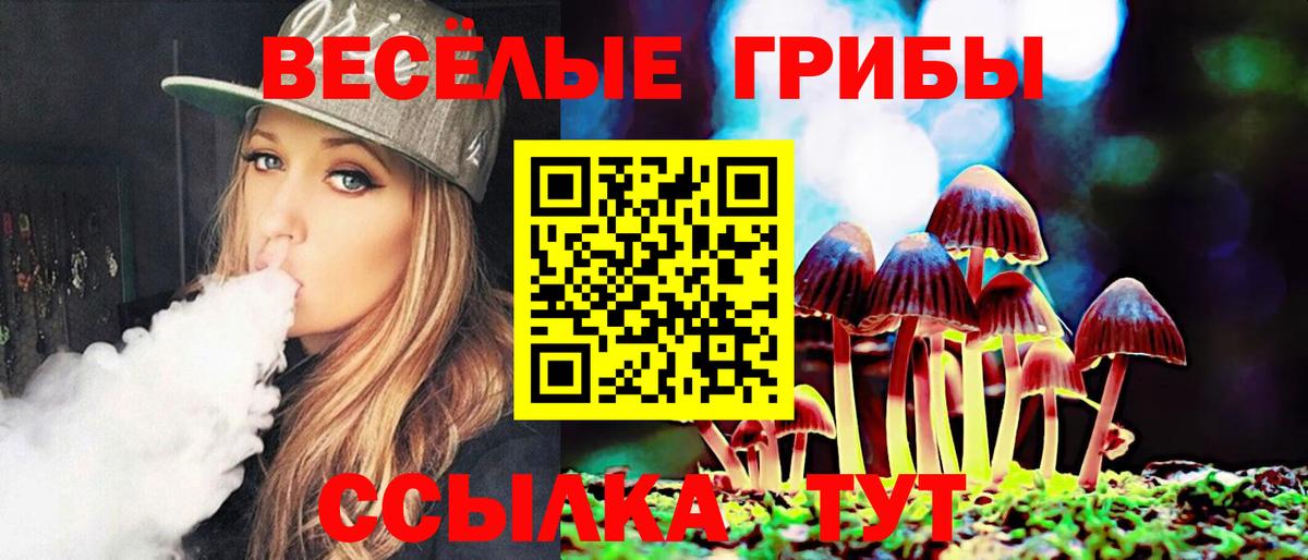 Кизилюрт  Псилоцибиновые грибы Psilocybine cubensis  Вход с VPN 