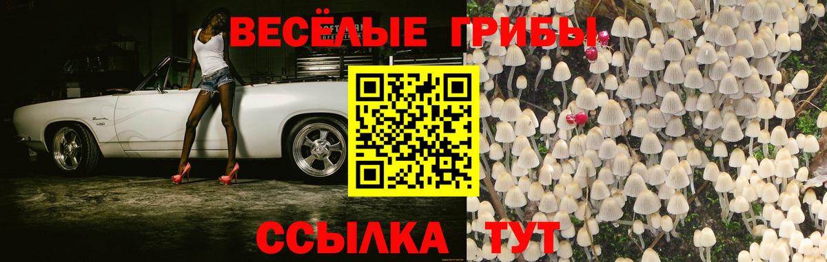 Псилоцибиновые грибы ЛСД Кизилюрт